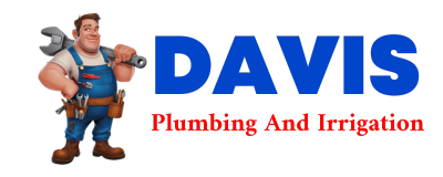 Trusted plumber in SAUNEMIN